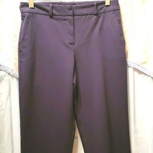 MANGO BASICS BLUE ANKLE LGTH PANTS SZ 2